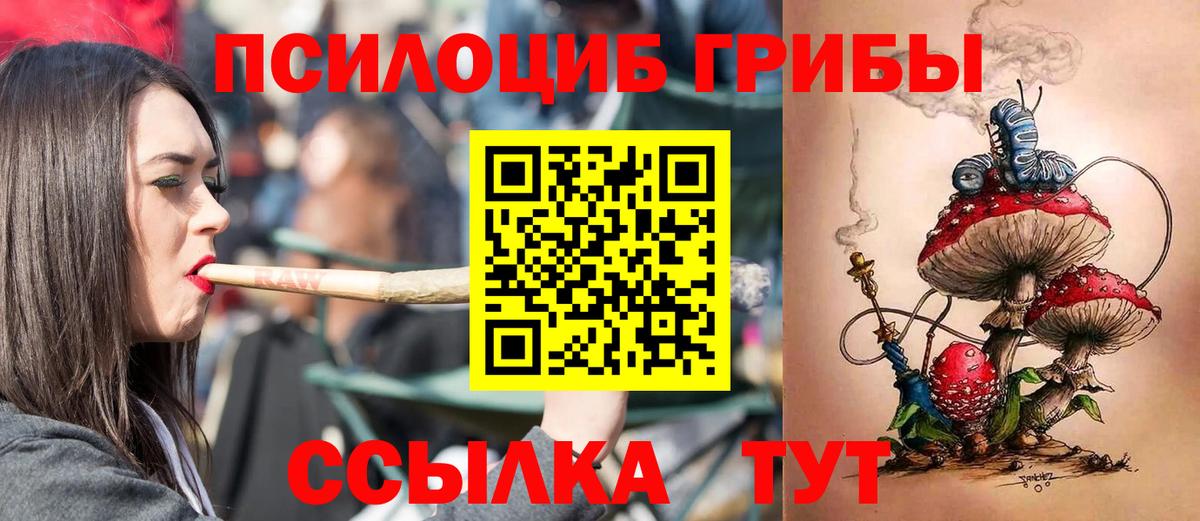 Псилоцибиновые грибы MAGIC MUSHROOMS Ртищево